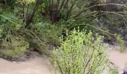 Gümüşhane’de hafif ticari araç dereye devrildi: 1 ölü, 4 yaralı