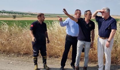 Buğday tarlasında yangın (2)