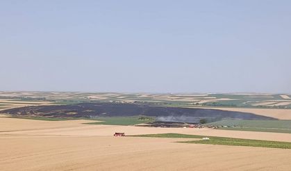 Buğday tarlasında yangın