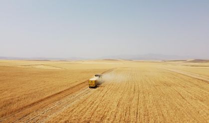 Ağrı'da 280 bin ton buğday, 160 bin don arpa rekoltesi bekleniyor