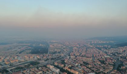Bilecik’te orman yangını (2)