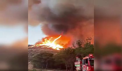 Bilecik'teki orman yangınında ateş hortumu oluştu