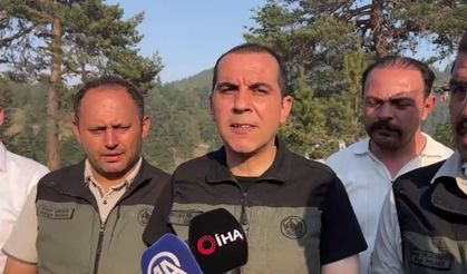 Çankırı'da orman yangını (2)