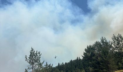 Çankırı'da orman yangını