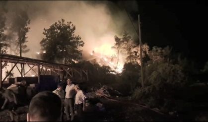 Çiftliğinde çıkan yangında 95 hayvanı öldü / Ek fotoğraflar