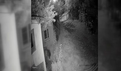 Evin bahçesine giren ayı kamerada