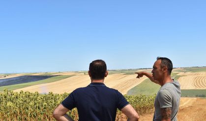 Kırklareli'de iki ayrı yangında ağaçlık alan ve tarım arazisi zarar gördü