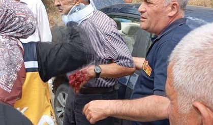 Otomobil virajı alamayıp yamaca çarptı; 4 yaralı