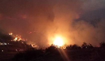 Sakarya’da çıkıp Bilecik’e sıçrayan orman yangını yayıldı; 4 köy tahliye edildi (3)