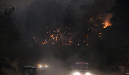 Sakarya’da çıkıp Bilecik’e sıçrayan orman yangını yayıldı; 4 köy tahliye edildi/ Ek fotoğraflar
