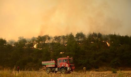 Sakarya’da çıkıp Bilecik’e sıçrayan orman yangını yayıldı; 4 köy tahliye edildi