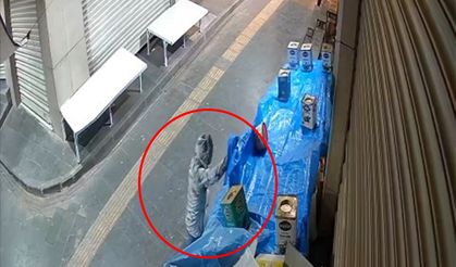 Siirt’te dükkan önünden fıstık hırsızlığı kamerada