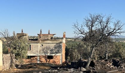 Uşak'ta meşelik alan ve ormanda çıkan 2 yangın kontrol altına alındı