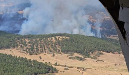 Uşak'ta orman yangını (2)
