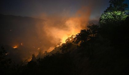 Uşak'ta orman yangını; bir çiftlik tahliye edildi