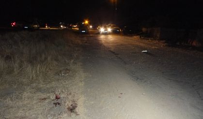 Yozgat'ta silahlı kavga: Muhtar ve oğlu öldü, diğer oğlu yaralandı