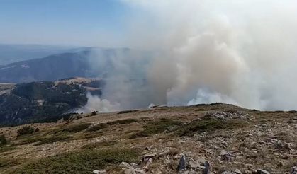Amasya'da orman yangını