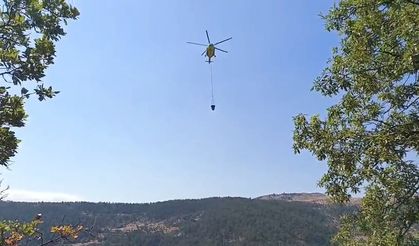 Amasya'daki orman yangını 16 saat sonra kontrol altına alındı; 35 hektar alan zarar gördü