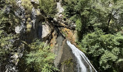 Bartın'da şelale ve çay kuruma noktasına geldi