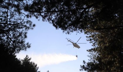 Çankırı’da çıkan orman yangını kontrol altına alındı (2)