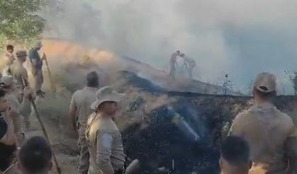 Diyarbakır- Bingöl sınırında orman yangını