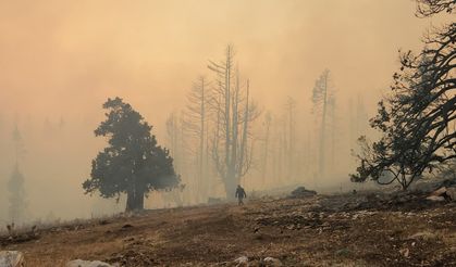 Karaman'da orman yangını (2)
