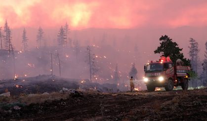 Karaman'da orman yangını / Ek Fotoğraflar