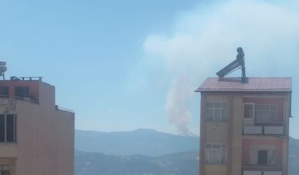 Karaman'da orman yangını