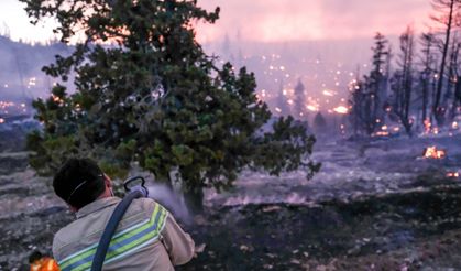 Karaman'daki orman yangını kontrol altında