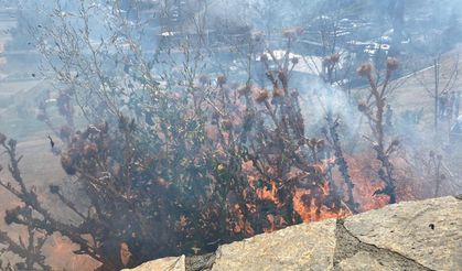 Kars Kalesi eteklerinde ot yangını