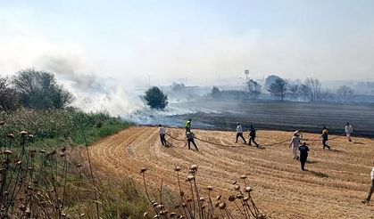 Kırklareli'de anız yangını; TEM ve D-100 bir süre trafiğe kapatıldı (2)