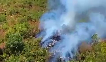 Küre Dağları Milli Parkı'nda orman yangını