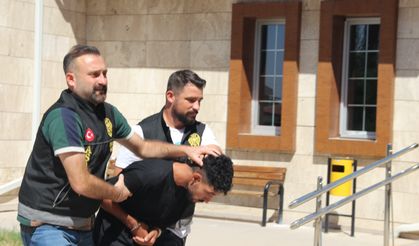 Mali müşavirin cinayet şüphelisi, azmettirici ile 500 bin liraya anlaşmış (2)