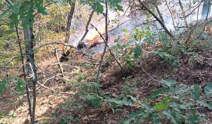 Osmaniye'de orman yangını, büyümeden kontrol altına alındı /Video eklendi