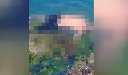 Yalova'da denize giren eski futbolcu Metin Baş boğuldu