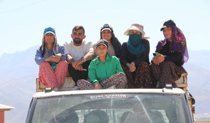 Yüksekova'da 'berivanların' yayla halayı / Ek fotoğraflar