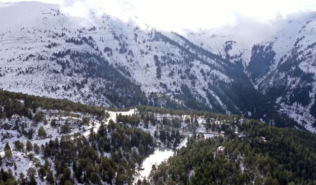 Limni Gölü Tabiat Parkı Kış Mevsiminde Yaban Hayvanlarına Ev Sahipliği Yapıyor