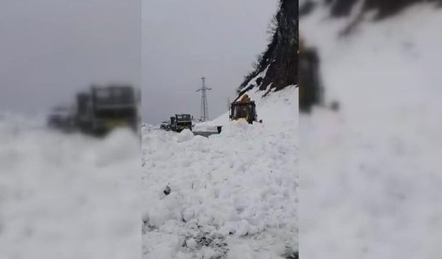 Artvin'de Çığ Nedeniyle Borçka-Camili Kara Yolu Ulaşıma Kapandı