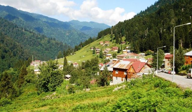 Ayder Yaylası Nerede, Nasıl Gidilir? Özellikleri
