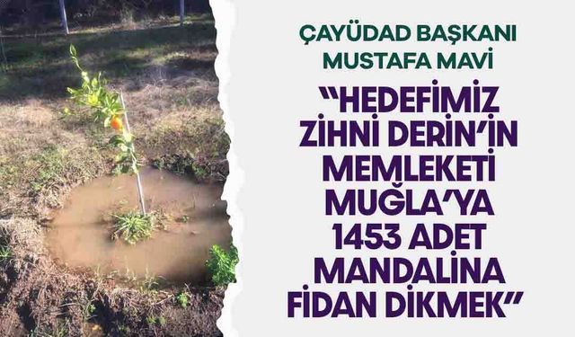 Rize'nin Muğla'da Yanan Ormana Diktiği Fidanlar Meyve Verdi