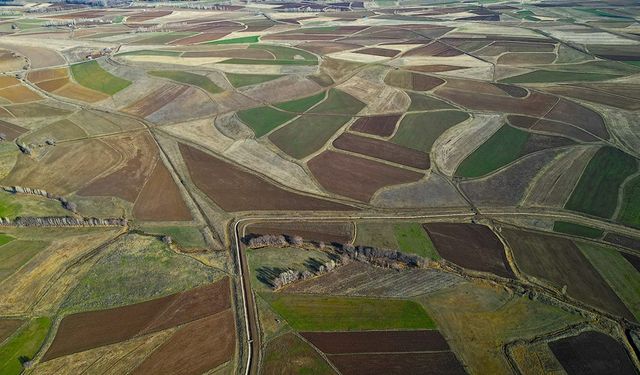 Bayburt Aydıntepe Ovası'ndaki Tarlalar Görsel Şölen Sunuyor