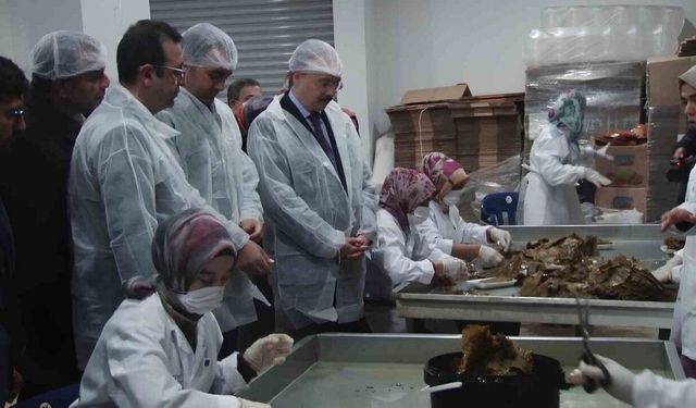 Siirt’te 7 kadının bir araya gelerek açtığı tesis üretimlerine devam ediyor