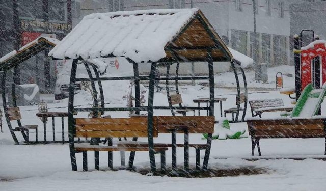 Bitlis’te kar yağışı: 33 yol ulaşıma kapandı