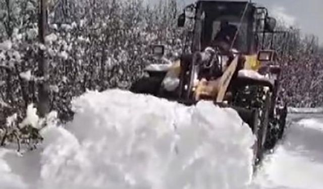 Tunceli’de kardan kapanan köy yolları ulaşıma açılıyor