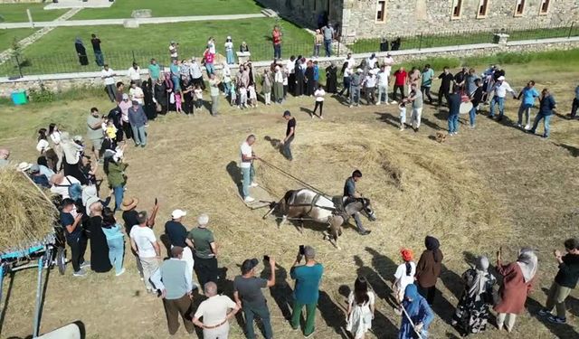 Bayburt 'Harman Festivali'nde Eski Tarım Aletleriyle Hasat Yapıldı