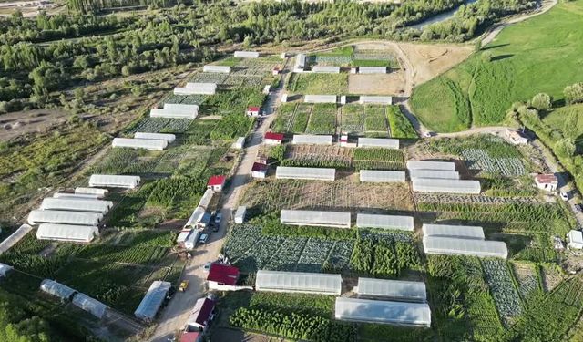 Bayburt'ta Sebze İhtiyacının Üçte Biri Ekolojik Köyden Karşılanıyor