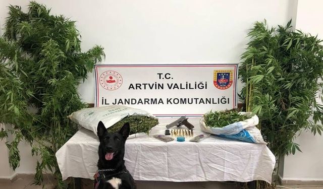 Artvin'de Evlerinde Uyuşturucu Ele Geçirilen 2 Zanlı Tutuklandı