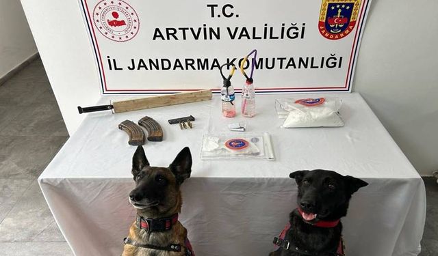 Artvin'de Uyuşturucu Operasyonunda 1 Şüpheli Tutuklandı