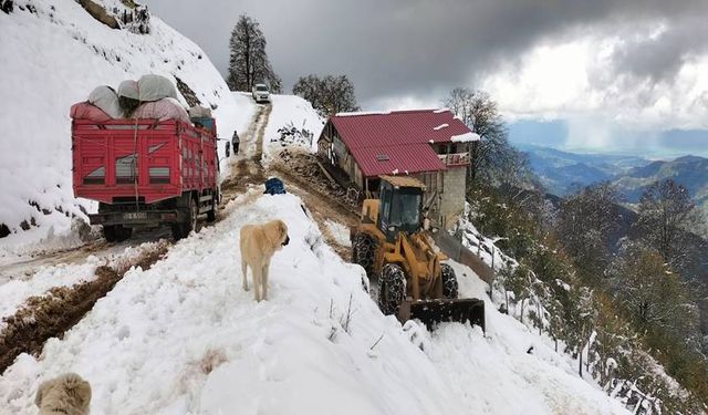 Rize'de Kar Nedeniyle Yaylada Mahsur Kalan 6 Kişi Kurtarıldı