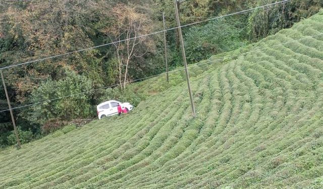 Rize'de Hafif Ticari Çay Bahçesine Yuvarlandı